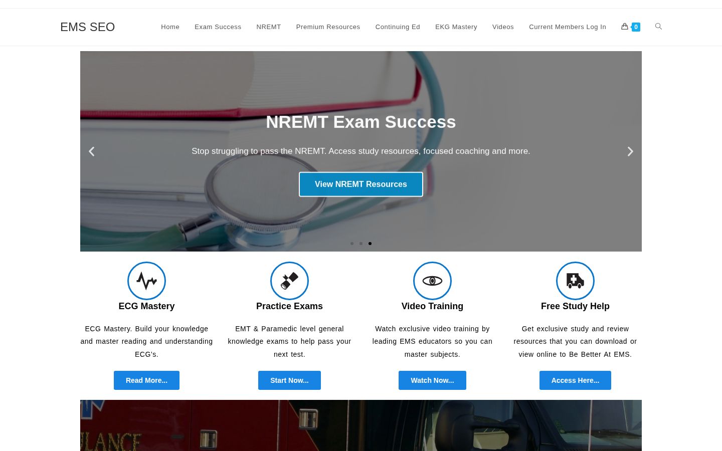 EMS SEO homepage screenshot